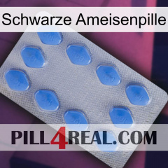 Black Ant Pill 21